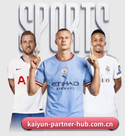 kaiyun-partner-hub.com.cn围绕看球场景设计的核心服务